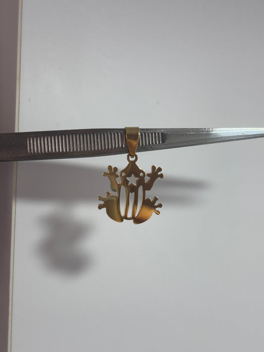Dije de coqui boricua 18kgp